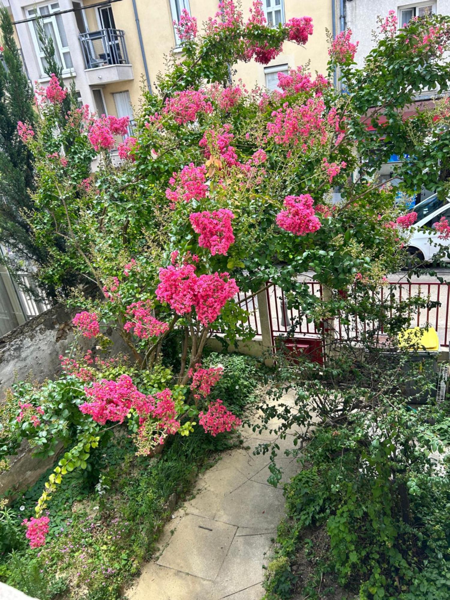 מאסי F3 Au Grenier D'Une Maison מראה חיצוני תמונה